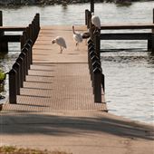 Mount Dora