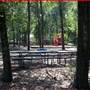 Mount Plymouth Park