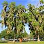 Lake Apopka Loop Trail