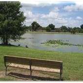 Lake Dot Park