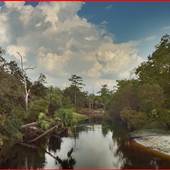 Little Econ (Canoe Launch)
