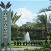 Ocoee