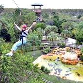 Gatorland