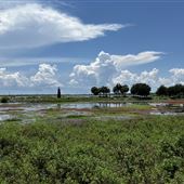 Kissimmee Lighthouse