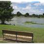 Lake Dot Park