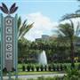 Ocoee