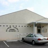Orange County Animal Services
