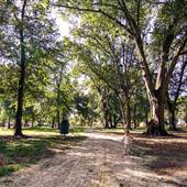 Clear Lake Park