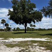 Trotters Park