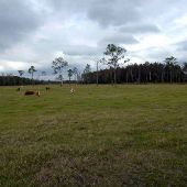 TM Ranch