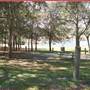 Carlton Village Park