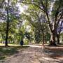 Clear Lake Park