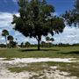 Trotters Park