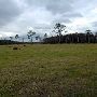 TM Ranch