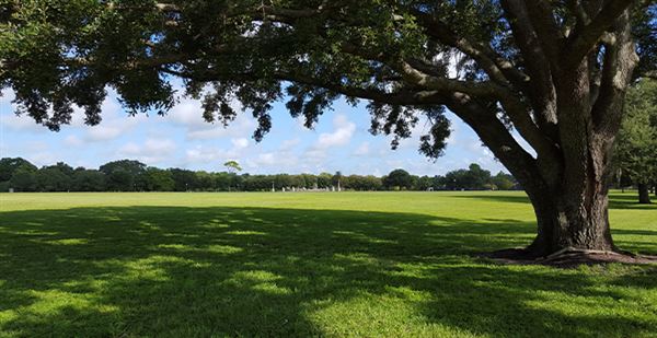 Blue Jacket Park