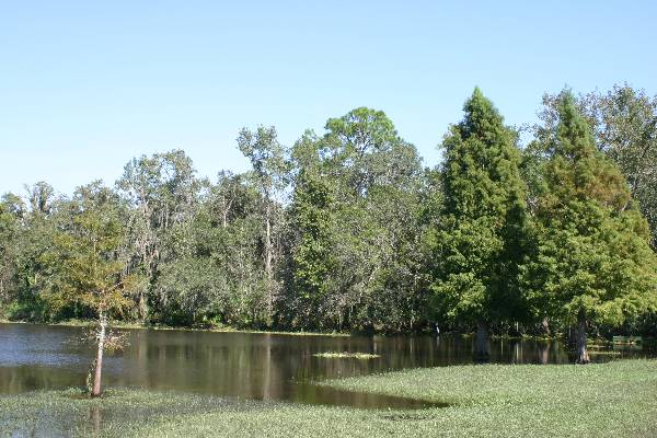 Blanchard Park