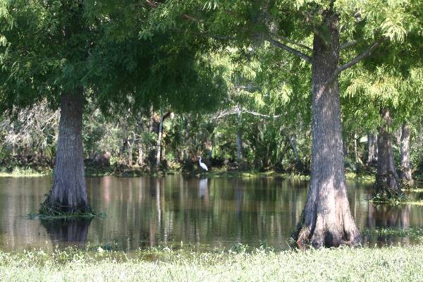 Blanchard Park