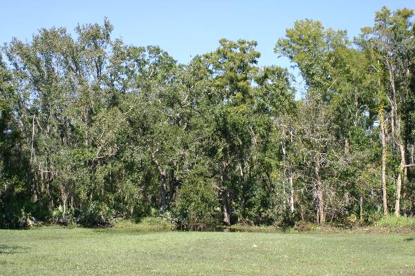 Blanchard Park