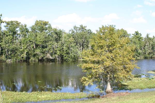 Blanchard Park